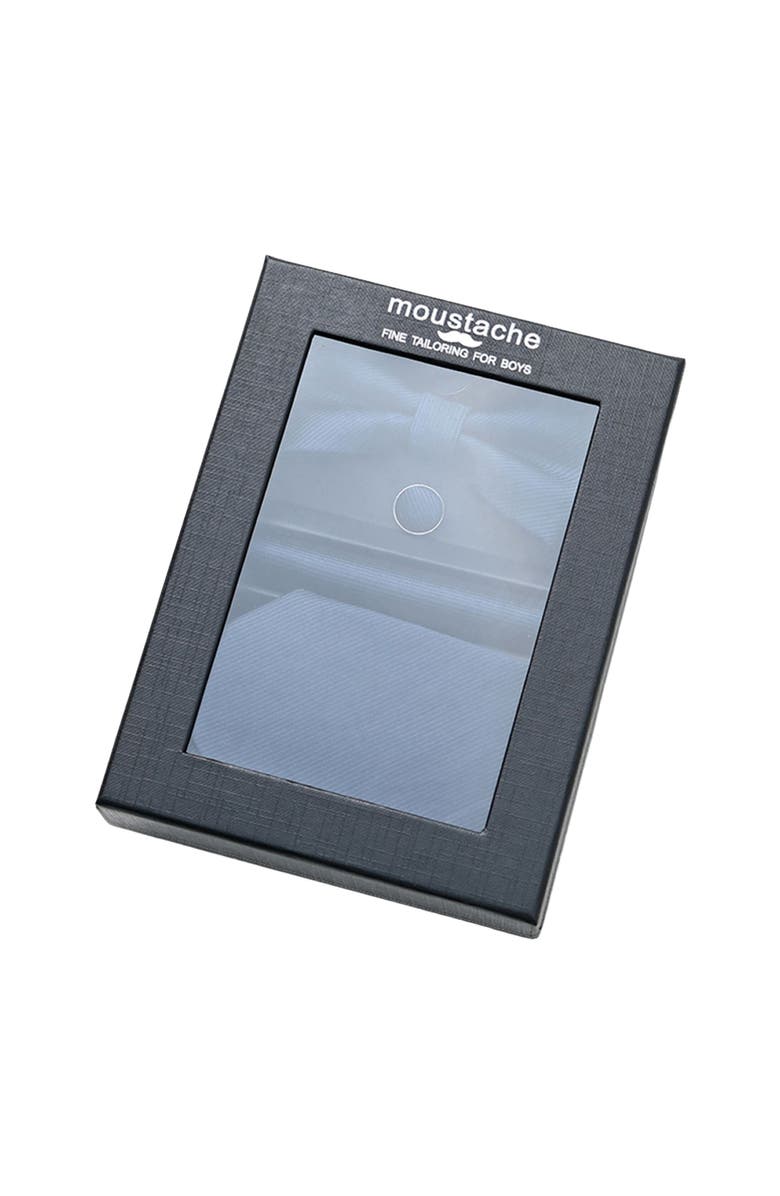 MOUSTACHE Lined Tie Set, Alternate, color, Navy Blue