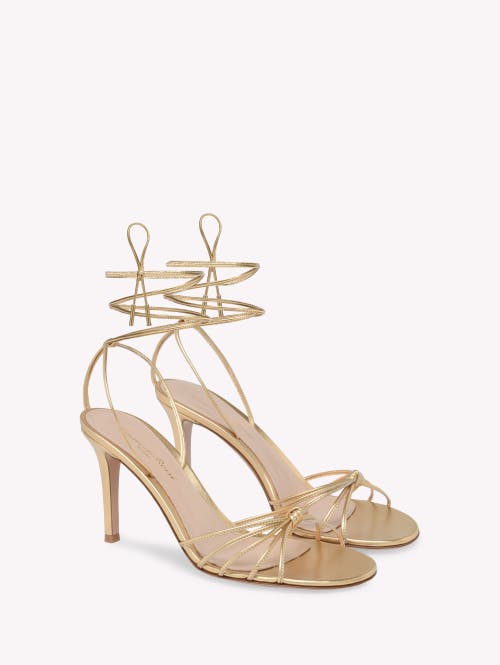 Gianvito Rossi Knot-detail Lace-up Sandals