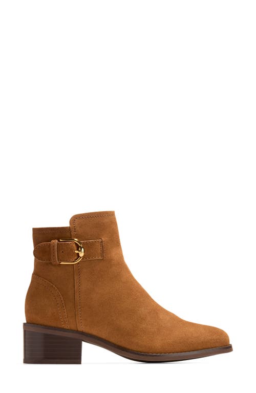 Cole Haan Hanover Buckle Boot In Brown
