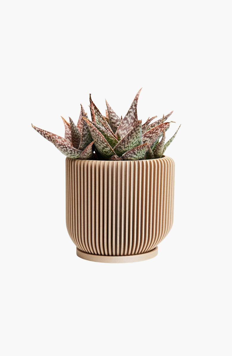 Woodland Pulse IONIC Modern Ribbed Planter Planter, Plant Pots, Flower Pots, Main, color, 