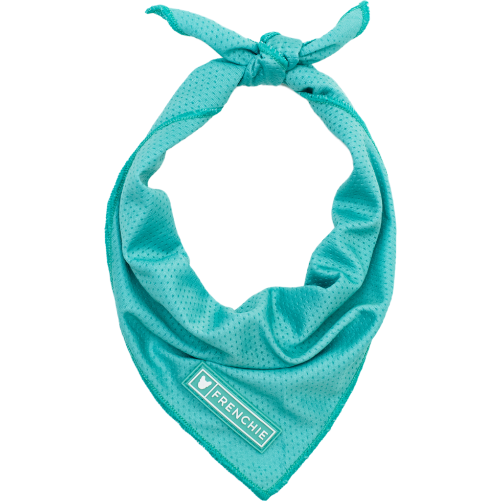 Frenchie Cooling Bandana in Aqua  product
