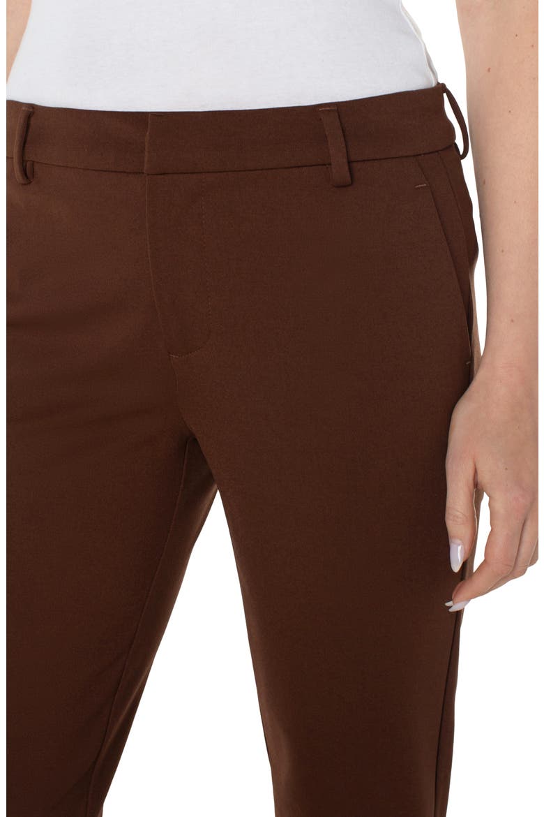 Kelsey Knit Trousers, Alternate, color, BROWNSTONE