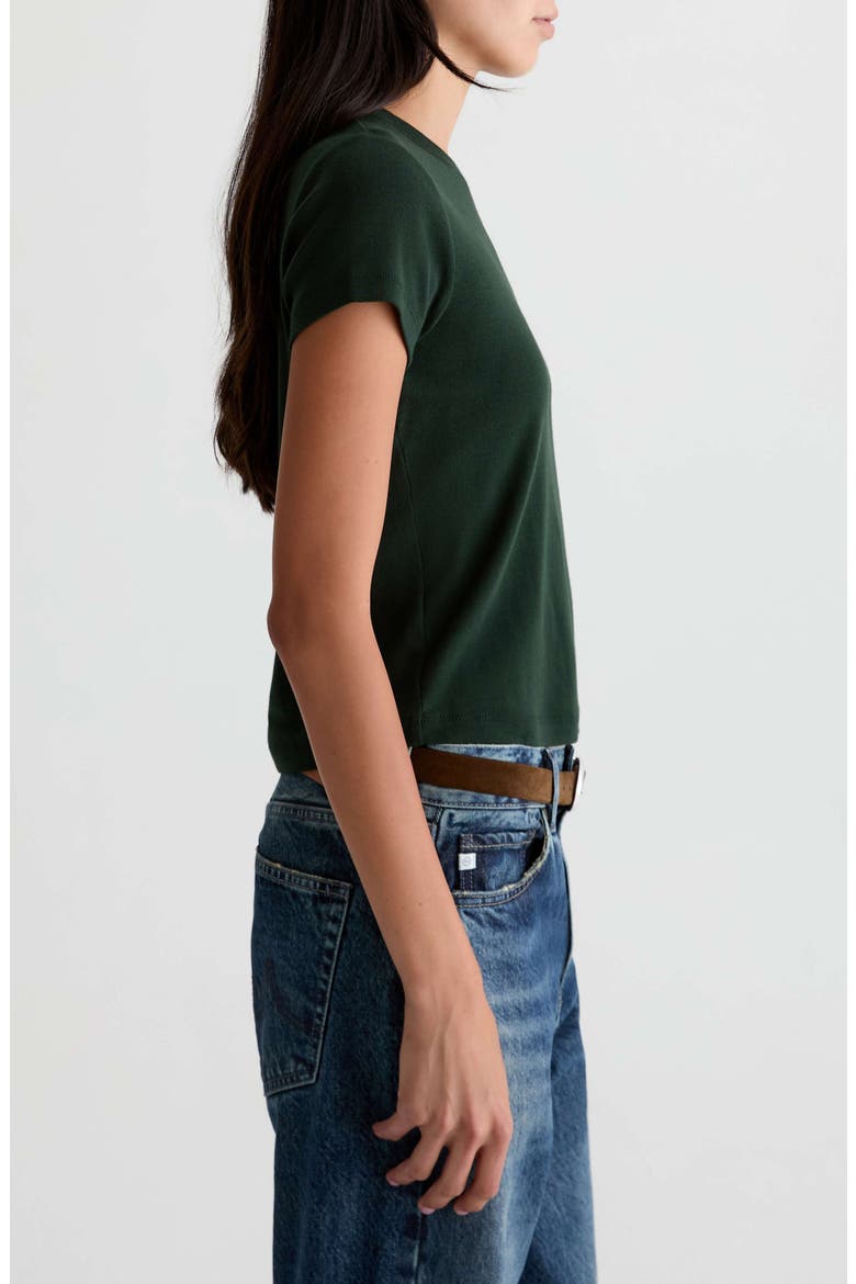 Sadie Crop T-Shirt, Alternate, color, PINE