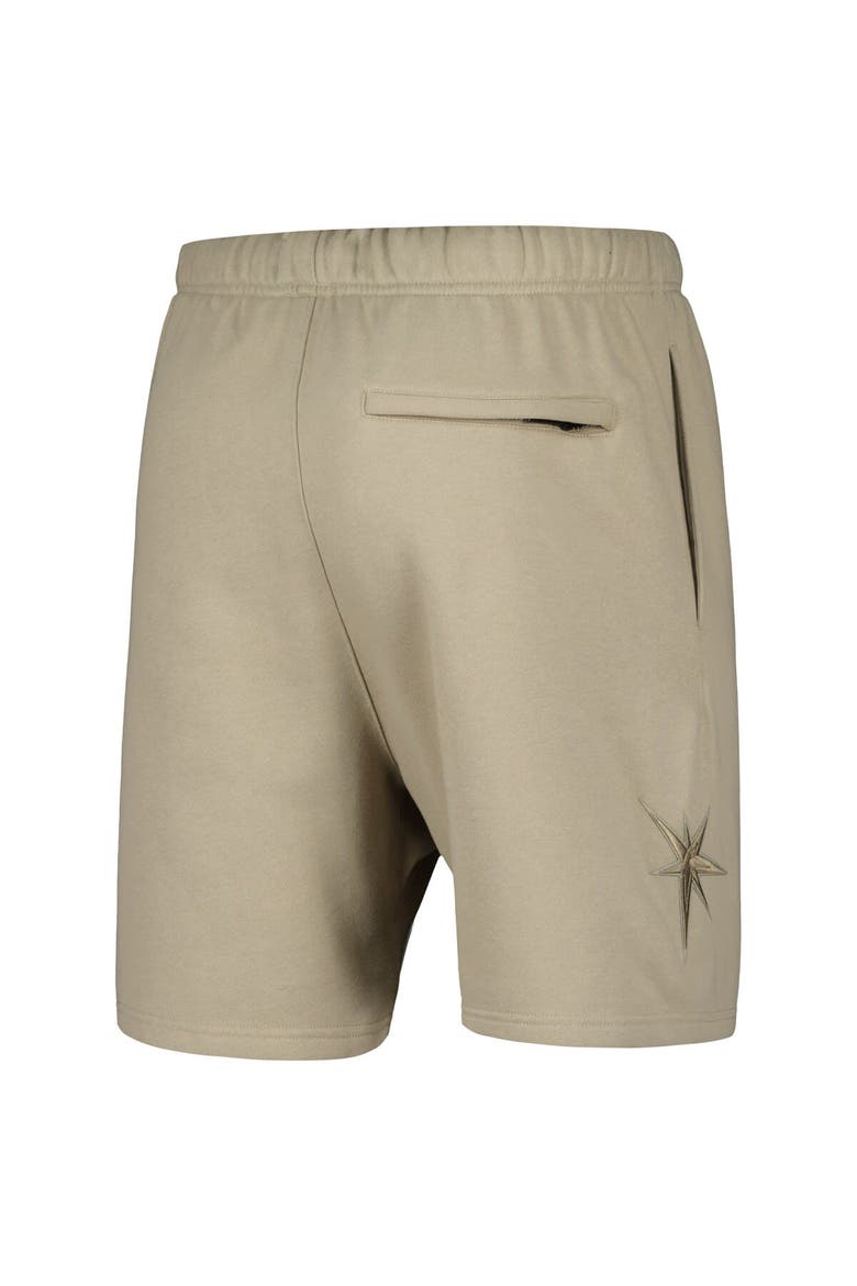 Men's Pro Standard Pewter Tampa Bay Rays Neutral Fleece Shorts, Alternate, color, Pewter