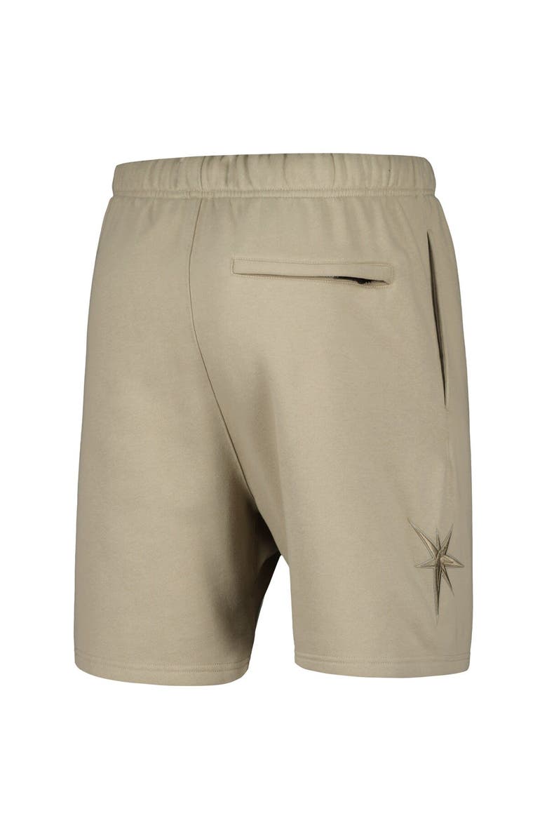 PRO STANDARD Men's Pro Standard Pewter Tampa Bay Rays Neutral Fleece Shorts, Alternate, color, Pewter