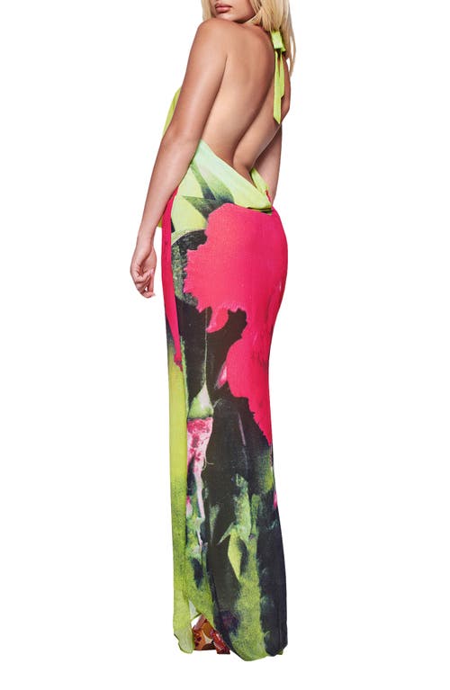 I.am.gia Samantha Plunge Cowl Halterneck Low Back Maxi Dress In Green