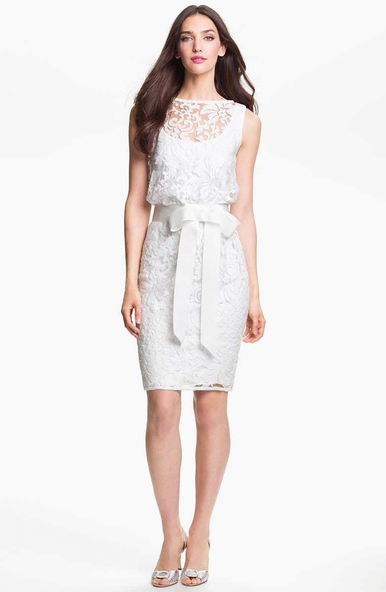 Tadashi Shoji Tulle & Lace Blouson Dress, Main, color, 