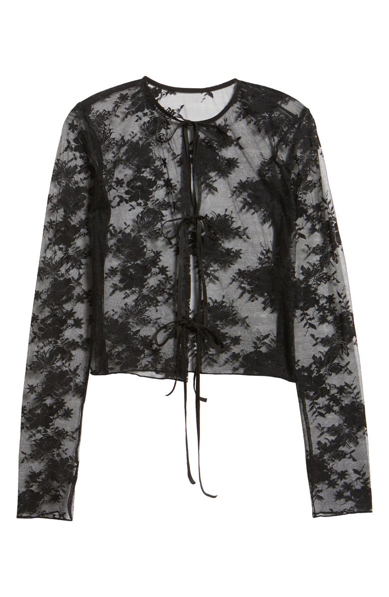 Bella Venice Camille Velvet Trim Sheer Crop Top, Alternate, color, Black Lace