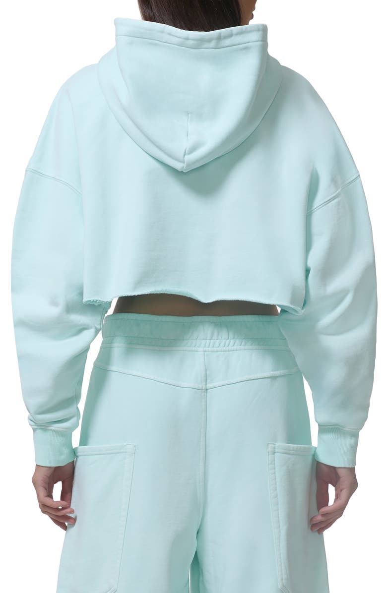 AFRM Darius Crop Cotton Hoodie, Alternate, color, Icy Morn