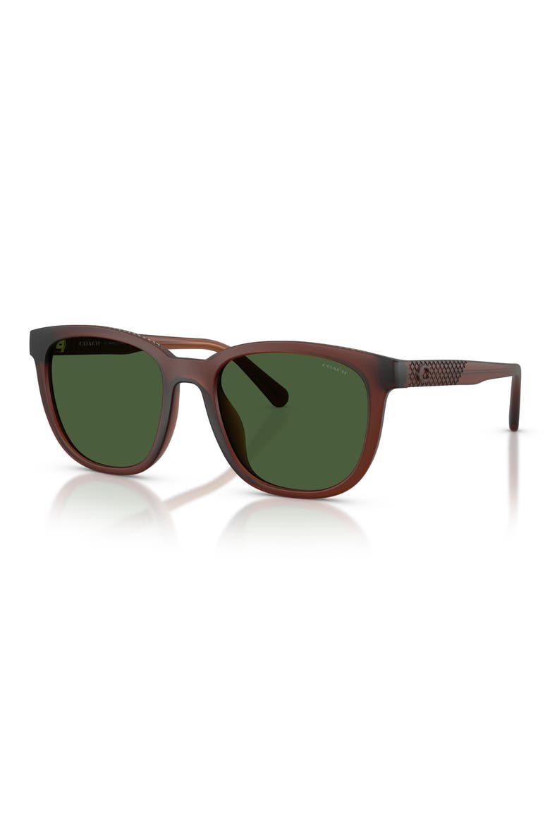 54mm Square Sunglasses, Alternate, color, TRANSPARENT BROWN / GREEN