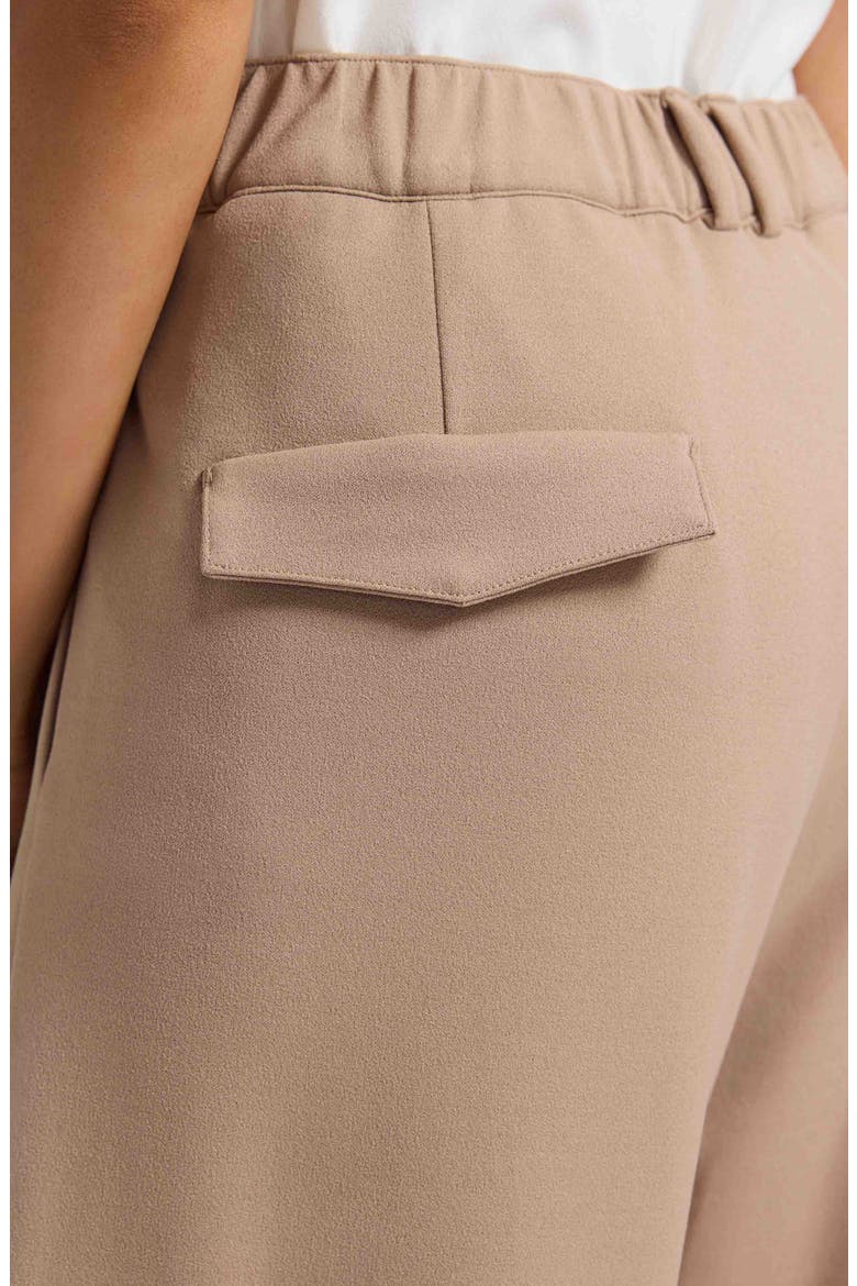 Elizabeth Wide Leg Pants, Alternate, color, KHAKI BEIGE