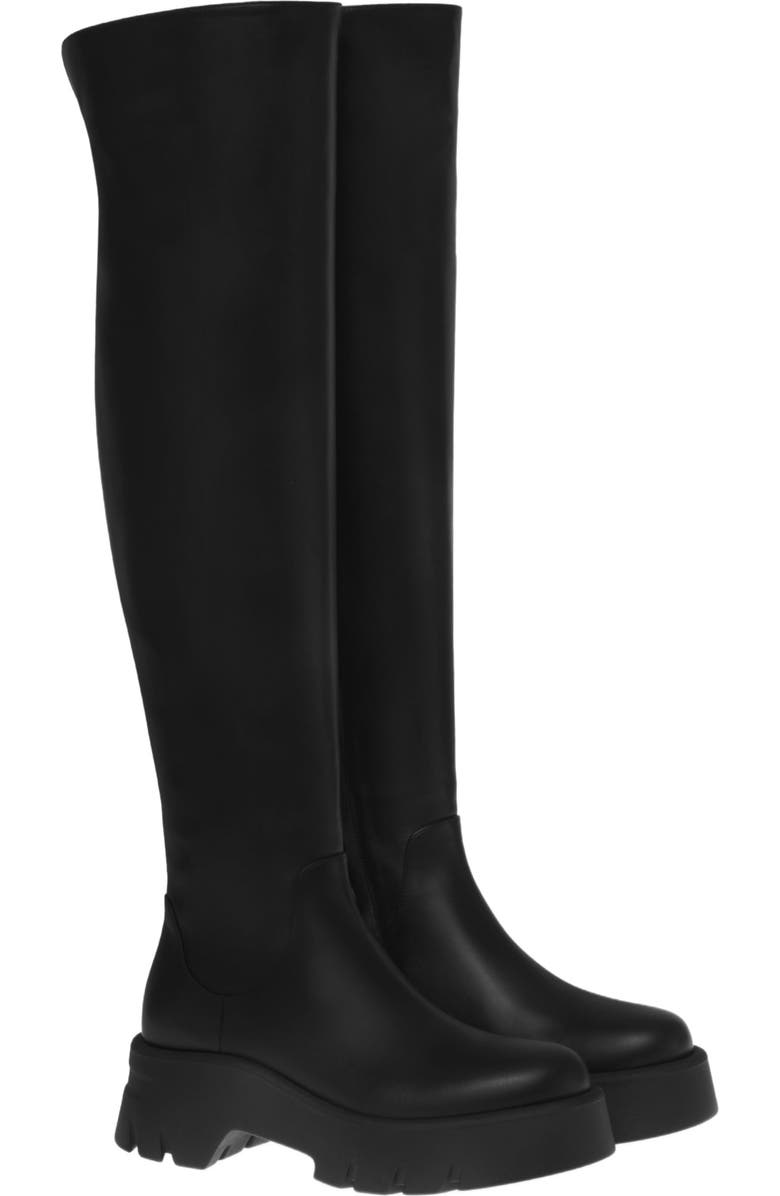 Gianvito Rossi Montey Cuissard Boots, Alternate, color,