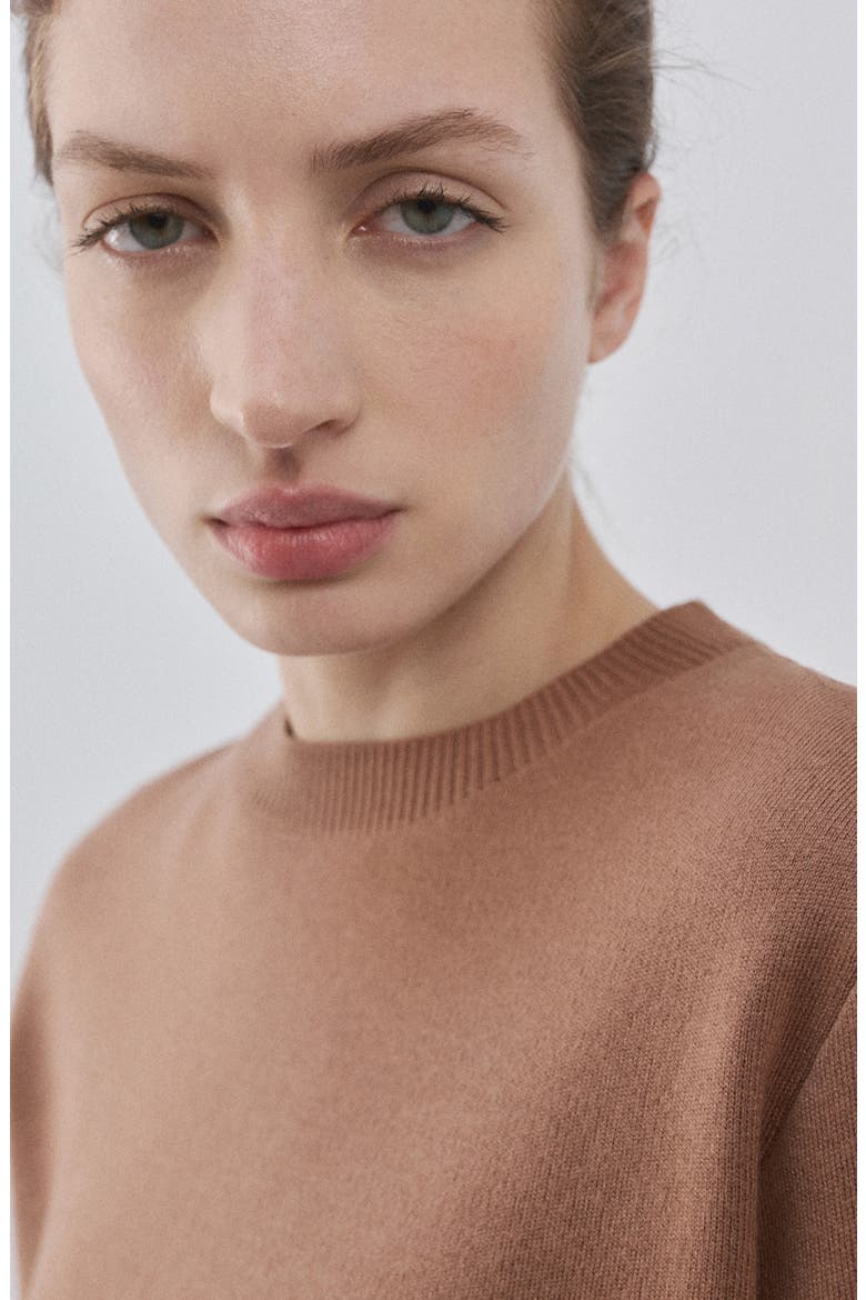 Fine Knit Crewneck Sweater, Alternate, color, MEDIUM BROWN