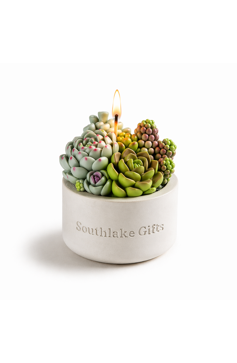 Southlake gifts Succulent Candle in Concrete Vessel, Main, color, Jade / Lilac / Sage