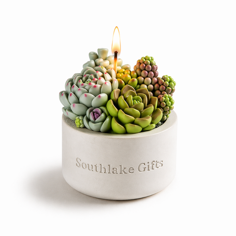 Succulent Candle in Concrete Vessel