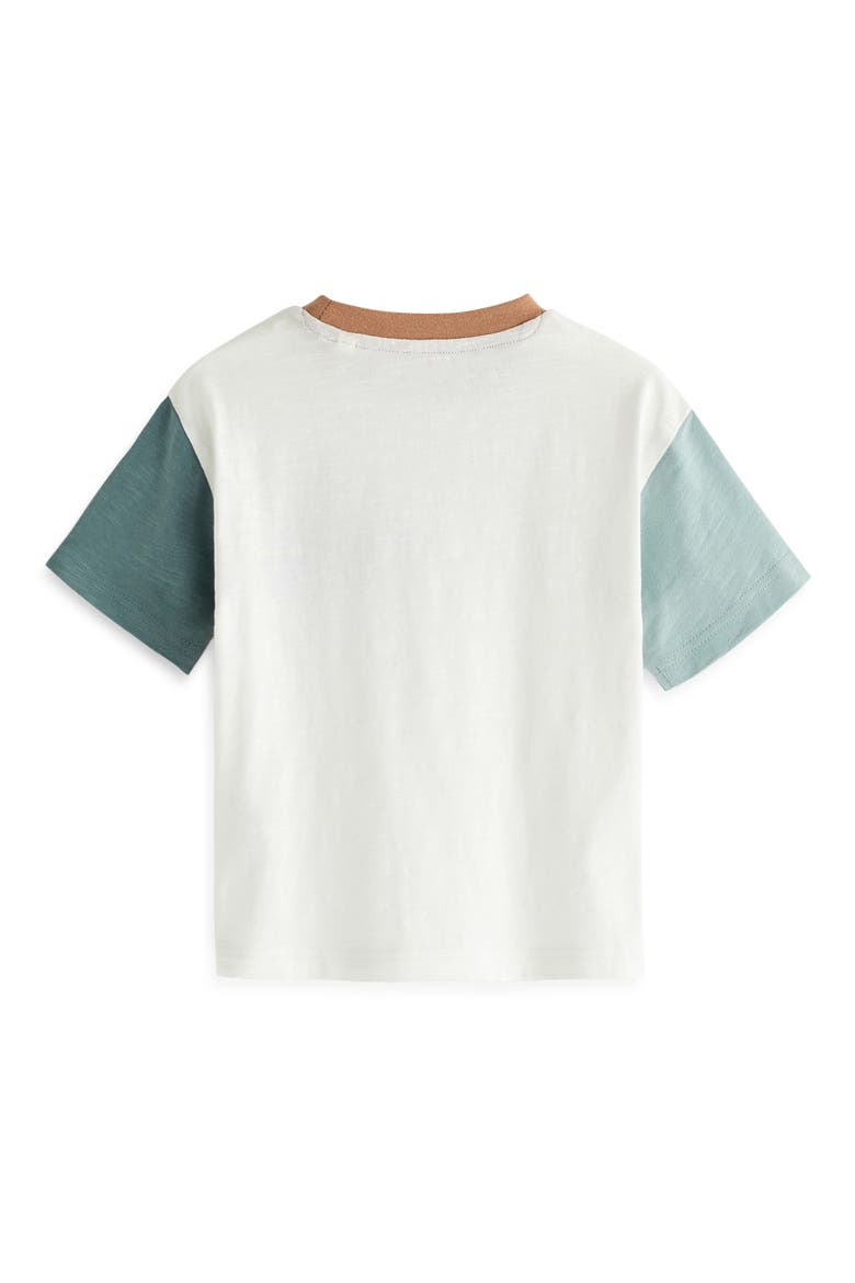 Kids' Dino Racer Appliqué Cotton Graphic T-Shirt, Alternate, color, WHITE