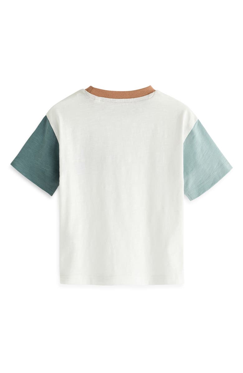 NEXT Kids' Dino Racer Appliqué Cotton Graphic T-Shirt, Alternate, color, 