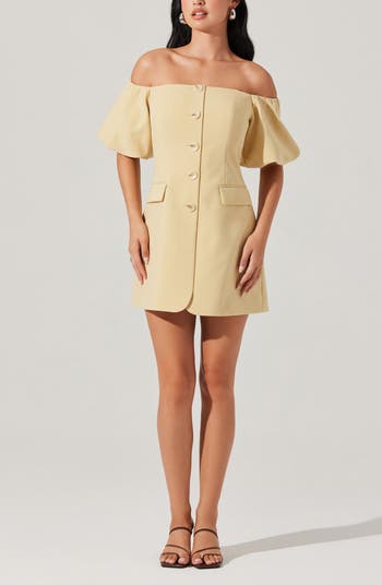 Biviana Strapless Minidress