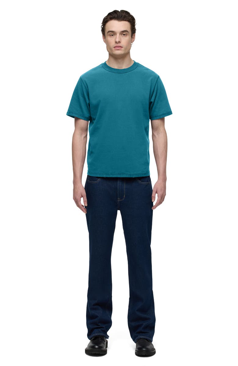Hudson Jeans Heavyweight Cotton T-Shirt, Alternate, color, 