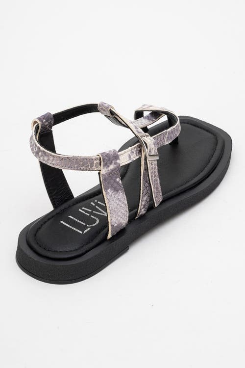 Forever & Always Shoes Morgana Leather Thong Sandal In Black