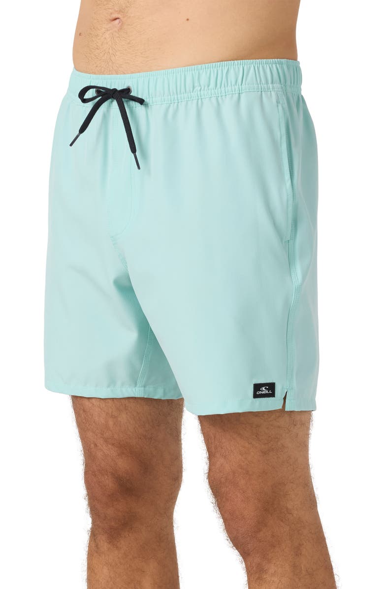 O'Neill Lennox Hermosa Swim Trunks, Alternate, color, Pastel Turquoise