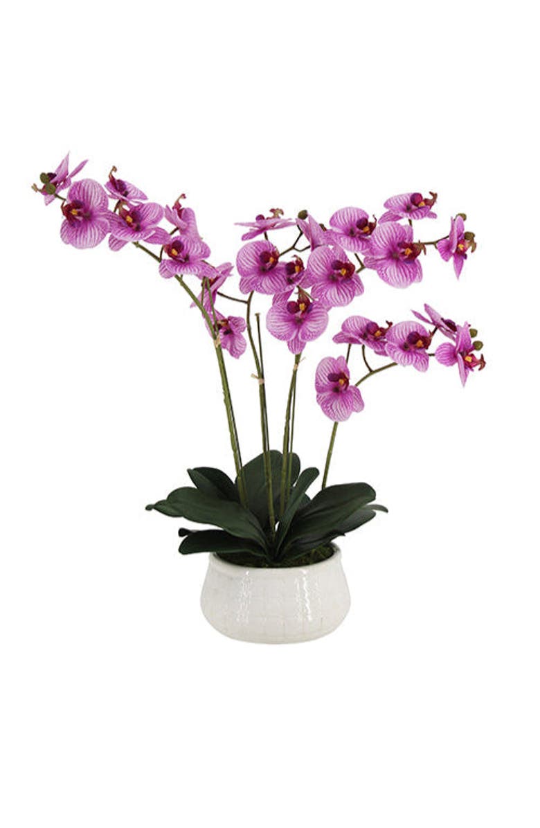 CG Hunter 23" Phale Orchid, Main, color, Purple