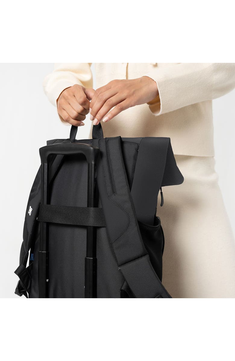 Sherpani Sedona Travel Laptop Backpack, Fits 15 Inch Laptop, Raven, Alternate, color, Raven