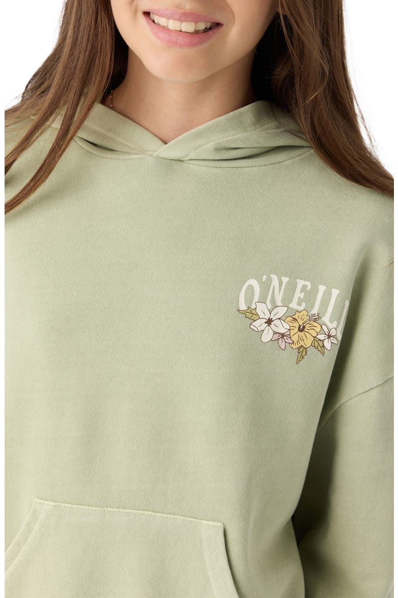 Kids' Asher Graphic Hoodie, Alternate, color, DESERT SAGE