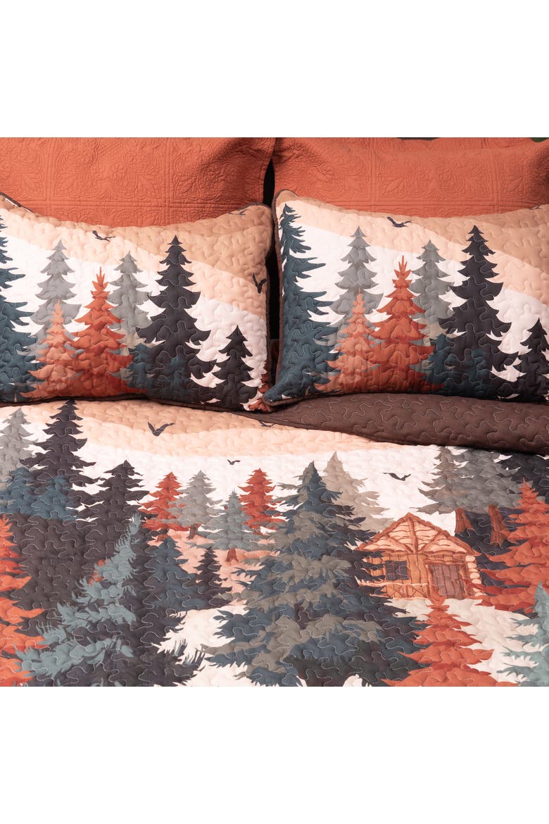 Lodge Retreat Bedspread Quilt, Alternate, color, Brown