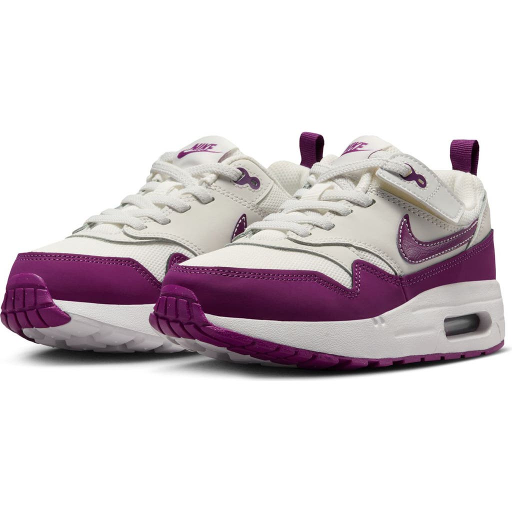 Nike Boys Air Max 1 Easyon In Purple