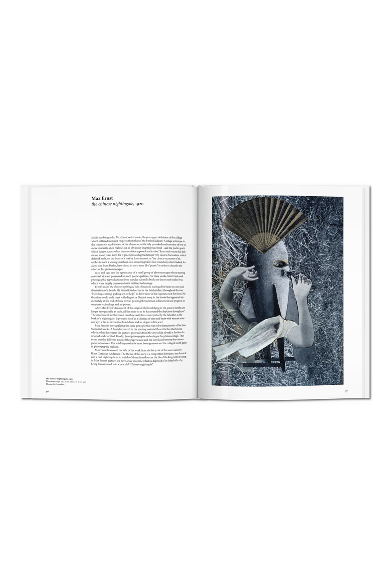 Dadaism English Art Book, Alternate, color, White