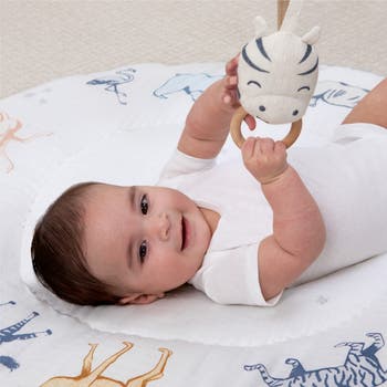 Play & Discover Baby Activity Gym