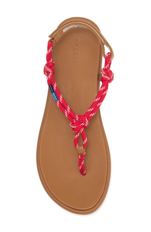 SPERRY SPERRY ISLA T-BAR SLINGBACK SANDAL