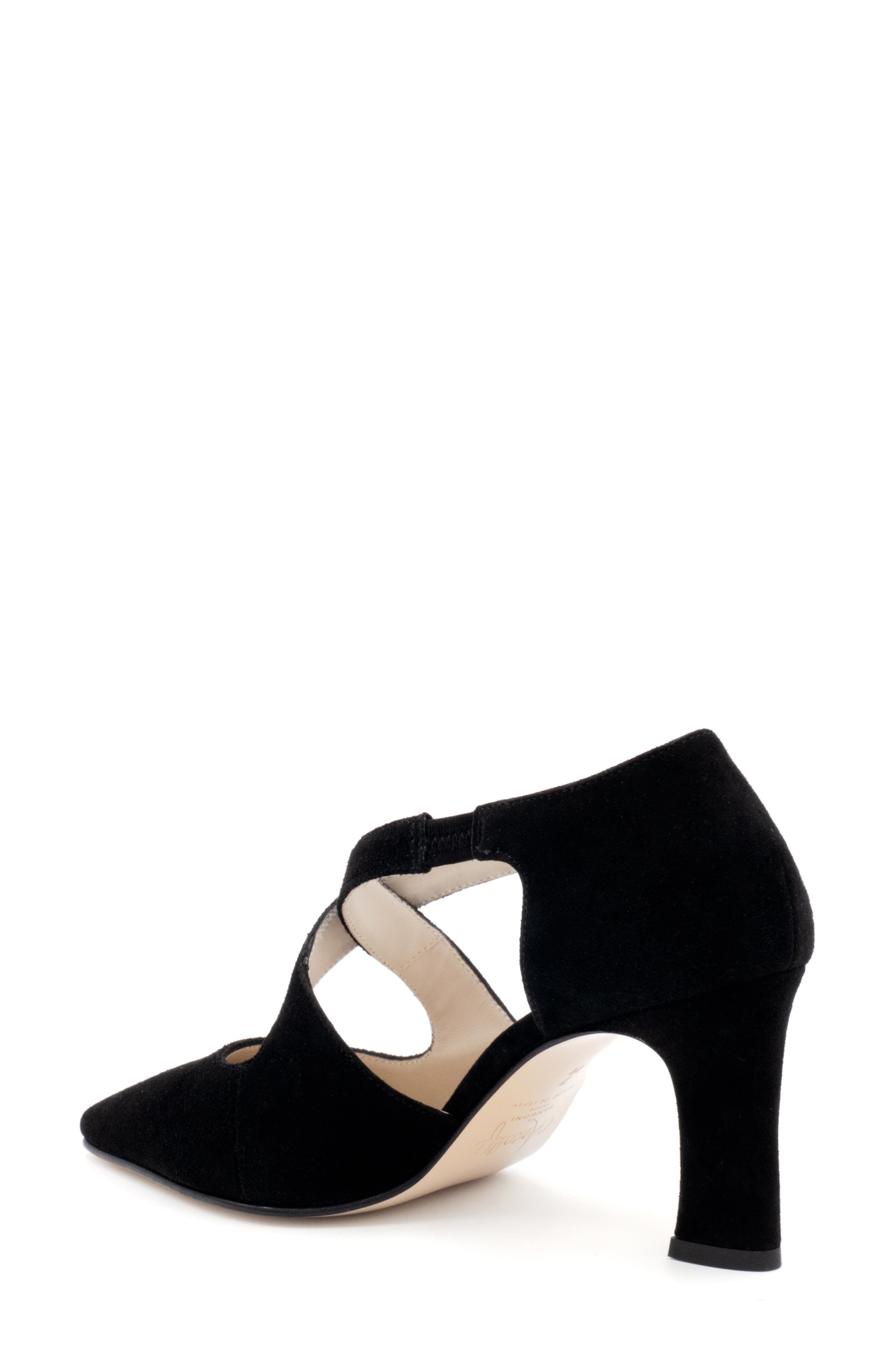 Amalfi by Rangoni Ippolito Pointed Toe Pump, Alternate, color, 