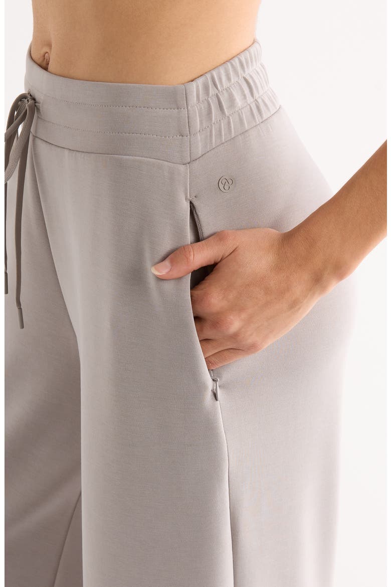 Soft Luxe Wide Leg Pants, Alternate, color, GREY EARL