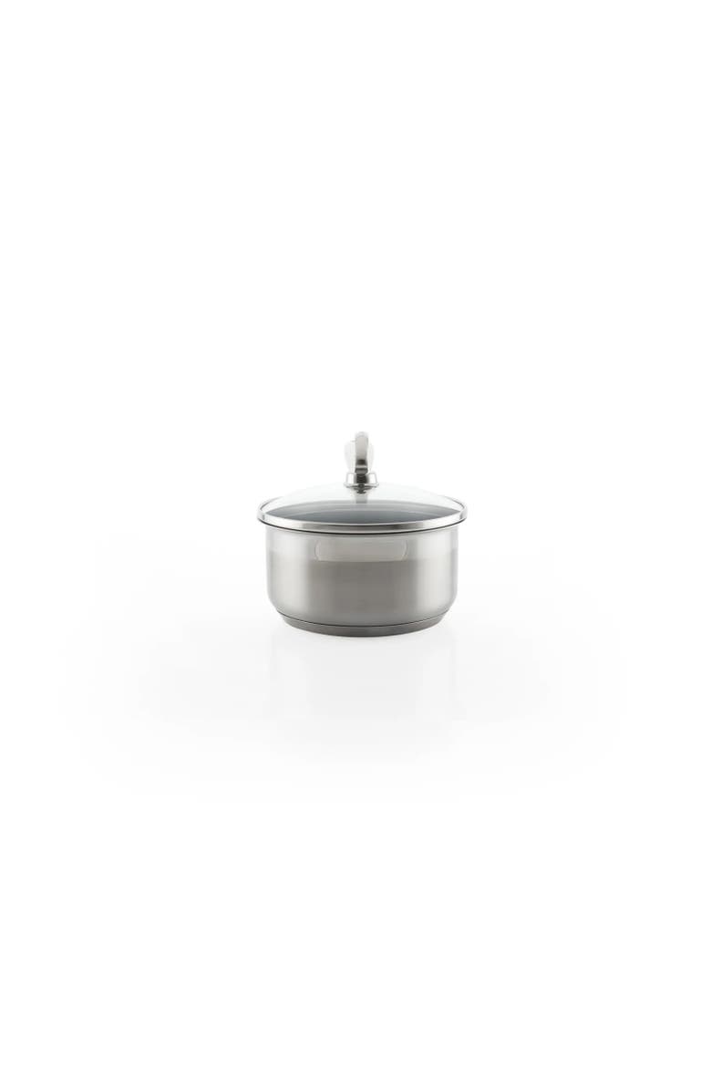 CHANTAL Induction 21 Steel 1 qt. Saucepan w/ Ceramic Coating and Glass Lid, Alternate, color, Silver