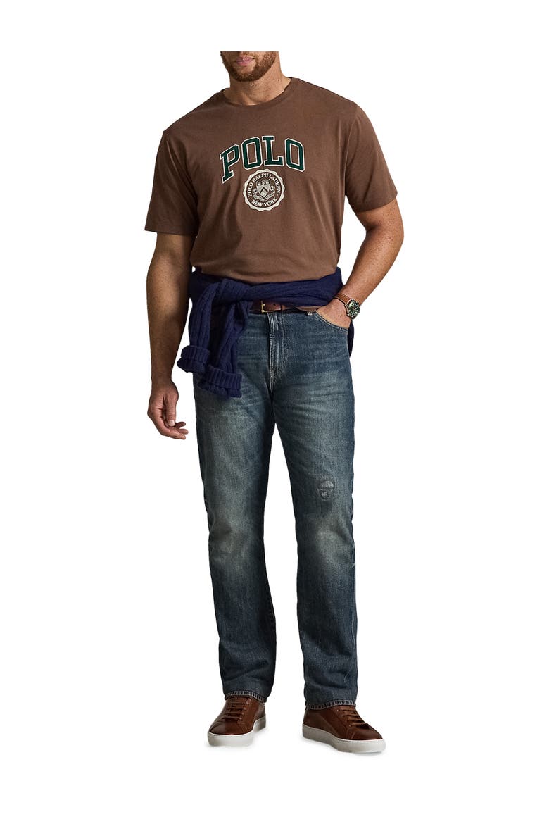 Big & Tall Varsity Graphic T-Shirt, Alternate, color, CHOCOLATE BROWN