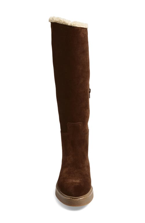 Jeffrey Campbell Zabini Faux Shearling Lined Knee High Boot In Brown