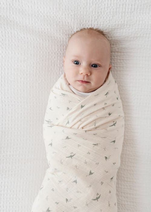 Ely's & Co. Cotton Muslin Swaddle Blanket 1 Pack