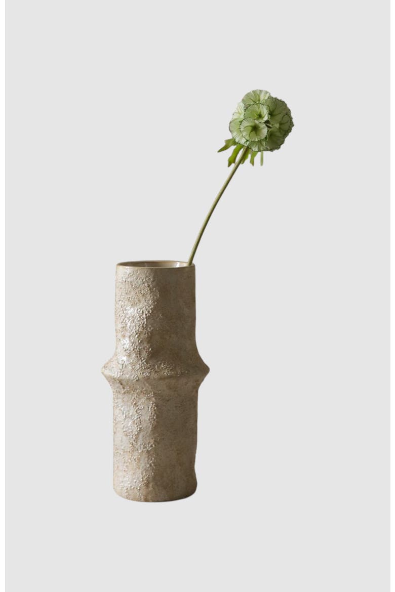 Light Green Scabiosa Seed Pod Flower, Main, color, Light Green