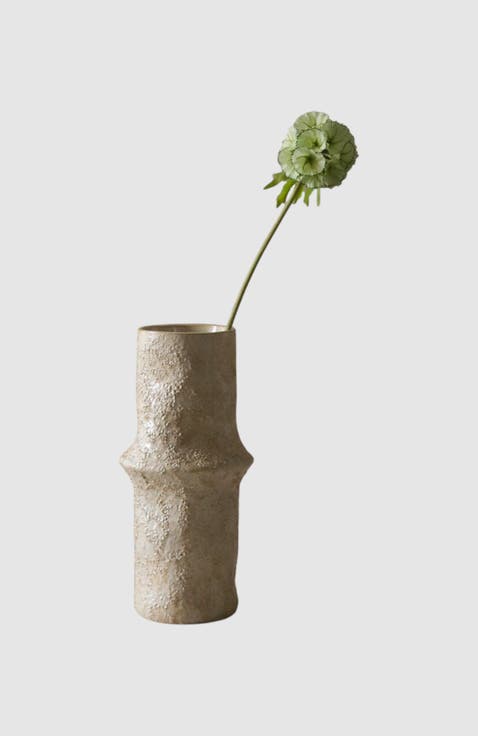 Light Green Scabiosa Seed Pod Flower