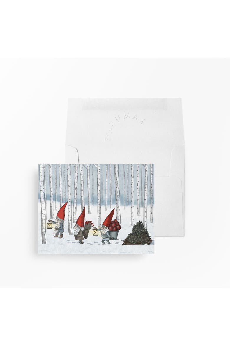 Holiday Winter Greeting Cards "Nordic Gnomes", Main, color, Multi-Pack