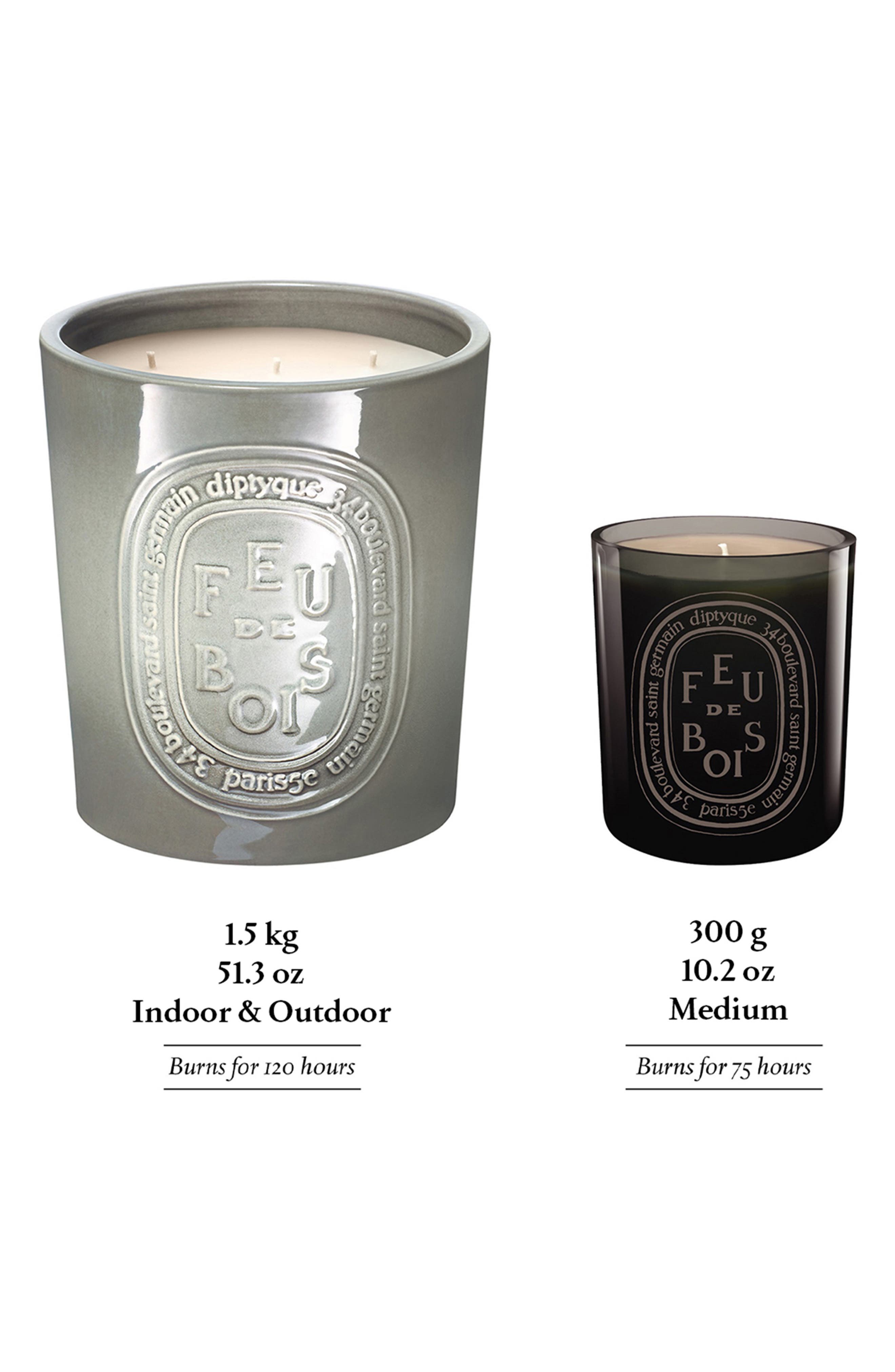 Diptyque Feu de Bois Extralarge Scented Candle - Thumbnail 5