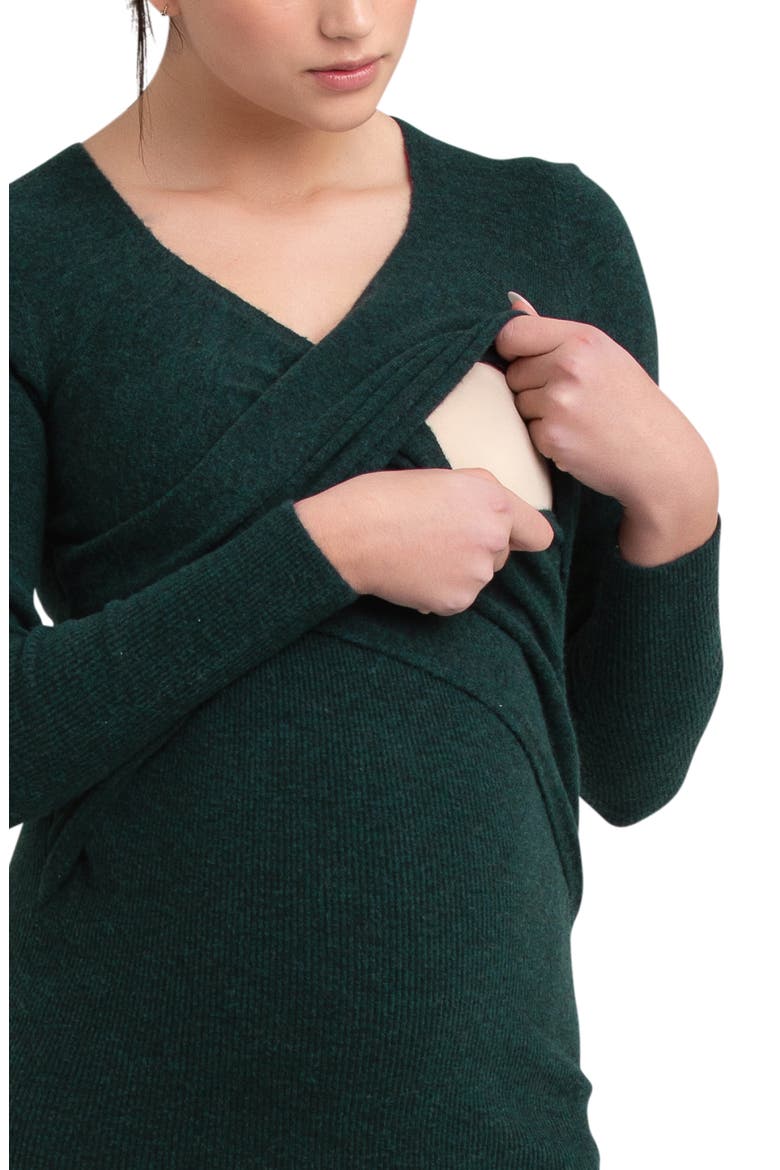 Heidi Long Sleeve Maternity/Nursing Dress, Alternate, color, FOREST