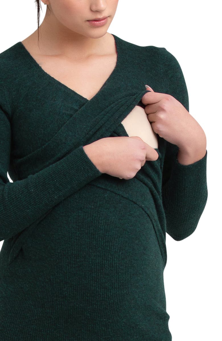 Ripe Maternity Heidi Long Sleeve Maternity/Nursing Dress, Alternate, color, 