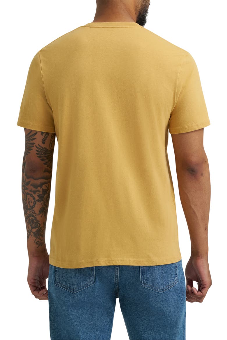 Cotton Graphic T-Shirt, Alternate, color, PALE GOLD