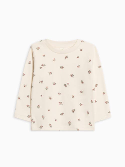 Colored Organics Kids'  Organic Cotton Turk Long Sleeve Crew In Neutral