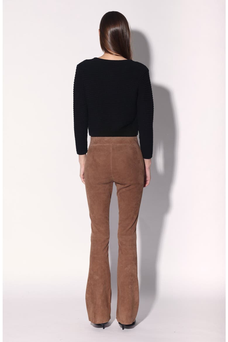 Lexie Suede Leather Pant, Alternate, color, Brown
