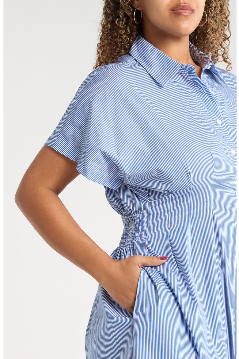 Pleated Dolman Sleeve Cotton Minidress, Alternate, color, BLUE-WHITE
