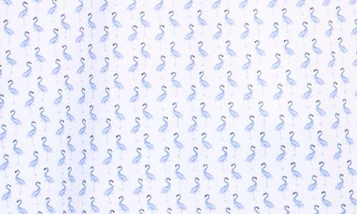 Tailorbyrd Byrds Performance Polo In Peri Blue